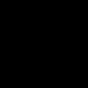 Meet your Posher, Jackson